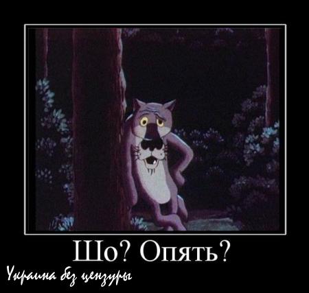 Какой ЕС, если нищих идиотов взяла под опеку Грузия?! — психиатр Глузман