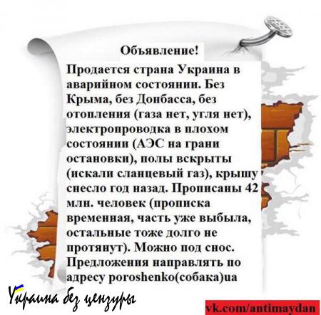 Какой ЕС, если нищих идиотов взяла под опеку Грузия?! — психиатр Глузман