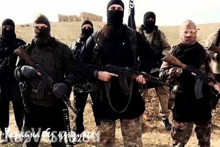 ИГИЛ готовится к наступлению на сирийско-ливанской границе