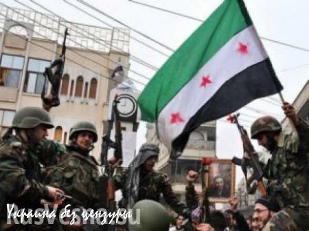 МОЛНИЯ: полевые командиры сирийской «оппозиции» просят у России оружие для войны с ИГИЛ