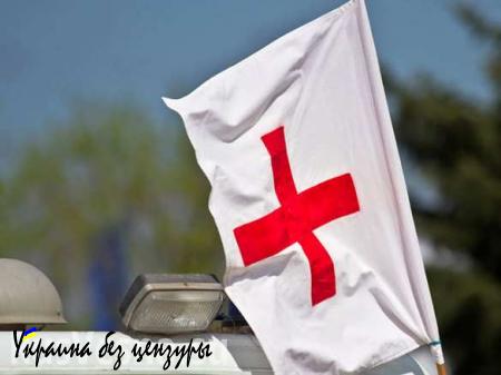 После получения аккредитации Красный Крест в полной мере возобновил сотрудничество с властями ДНР