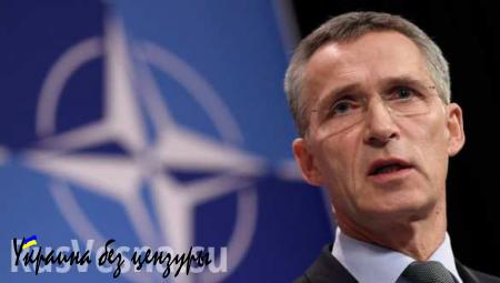 Страны НАТО собрались на совет из-за российского истребителя в Турции