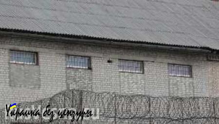 В Мариупольском СИЗО от пыток скончался пленный житель ДНР
