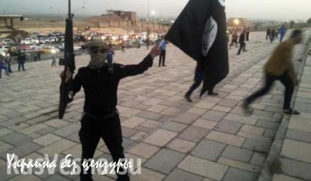 Группы террористов ИГИЛ с Кавказа бреют бороды и бегут из Сирии: задержаны двое чеченцев, — позывной «Тимур»