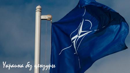 Майор Мартин Сукуп («Чех»): В Краматорске моим командиром был Бабай