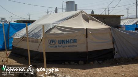 Спасённые от ИГа: репортаж из курдского лагеря беженцев (ФОТО, ВИДЕО)