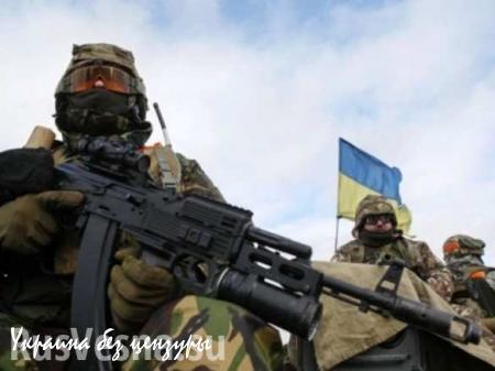 Двое украинских военных перешли на сторону ДНР в Новоазовском районе
