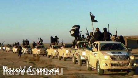 США подозревают Toyota в поставках автомобилей террористам ИГИЛ