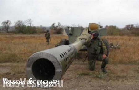 Народная милиция ЛНР подтверждает начало отвода Киевом артиллерии от линии соприкосновения