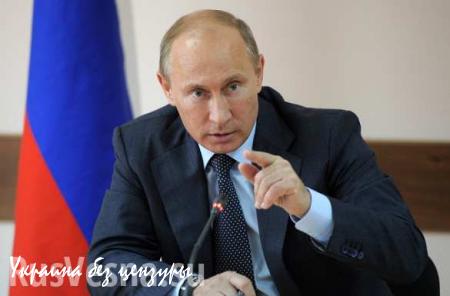 Путин: Россия предупредила о начале проведения операции в Сирии «из доброй воли»