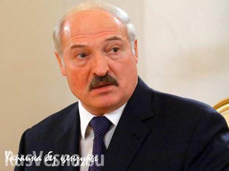 «С гранатами и битами»: Лукашенко рассказал о проникновении украинских боевиков