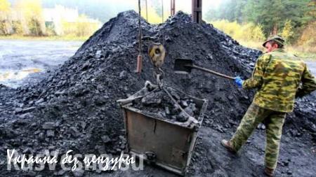 В ДНР подняли цену на уголь для Украины