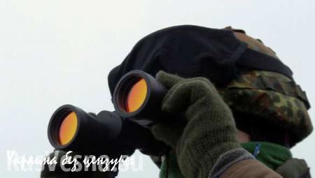 Народная милиция ЛНР подтверждает начало отвода Киевом артиллерии от линии соприкосновения