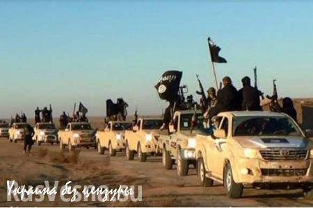Дорогая экипировка и новенькие Toyota: чем пользуются боевики ИГИЛ (ВИДЕО)
