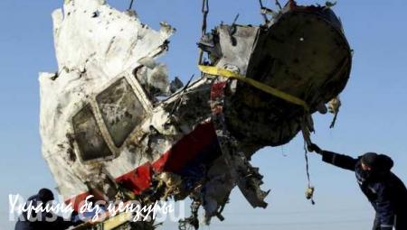 Малайзийские СМИ: Нидерланды игнорируют данные по крушению Boeing MH 17 на Донбассе