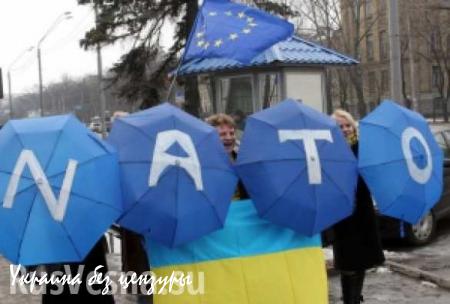 На Украине расказали, как восстановят контроль над воздушным пространством при помощи НАТО
