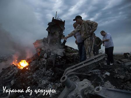 Стали известны детали доклада Нидерландов по «Боингу»: сбит «Буком» из Снежного