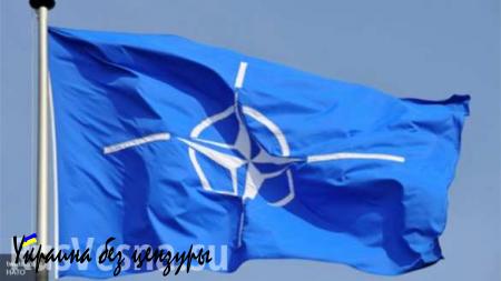 НАТО предлагает странам ужесточить антироссийские санкции