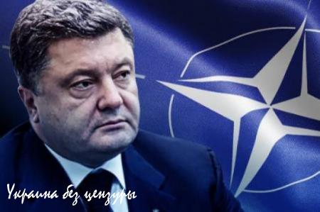 Кто хозяйничает в Европе?