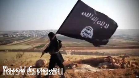 Роскомнадзор выявил около 900 интернет-страниц с пропагандой «Исламского государства»