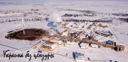 Боевиков ИГИЛ сошлют в Сибирь и сделают рабами, — «Голос Ливии» (ФОТО)