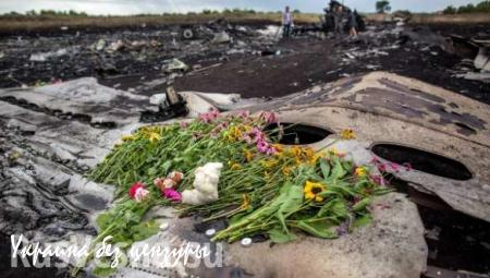 Росавиация: ракета, поразившая MH17, вылетела из района Зарощенского
