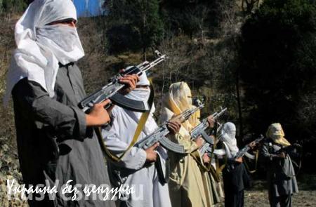 Афганские талибы подготовили спецназ для борьбы с группировкой арабских террористов