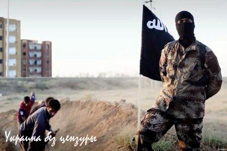 Афганские талибы подготовили спецназ для борьбы с группировкой арабских террористов