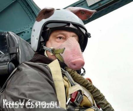 Анатолий Шарий: Порошенко передал в войска истребитель, отремонтированный 3 года назад (ВИДЕО)
