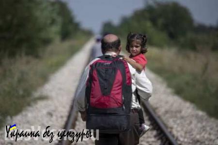 Иракцы, попросившие убежище в Латвии, передумали и сбежали из страны