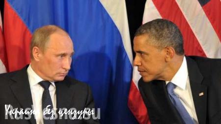 Большинство американцев считают, что Владимир Путин оценивает ситуацию в Сирии лучше Барака Обамы