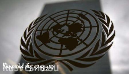 Украина стала непостоянным членом Совбеза ООН
