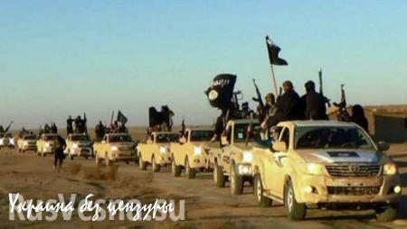 Боевики ИГИЛ отступают под натиском сирийской армии (ВИДЕО)