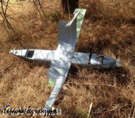 Производитель БПЛА «Орлан» прокомментировал фото сбитого в Турции беспилотника