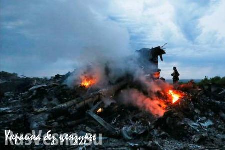 Малайзия: доклад о причинах катастрофы MH17 не направлен против России