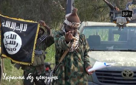 Нигерия. «Африканский ИГИЛ» снова атакует