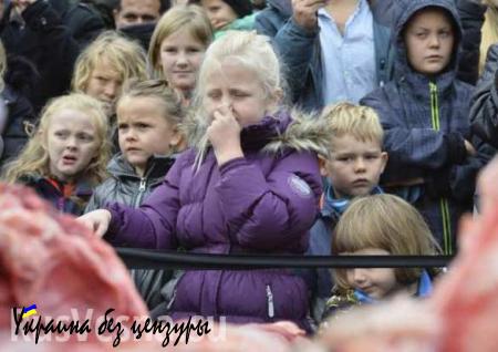 «Евроутилизация жизни» — о расчленении льва на глазах у датских детей