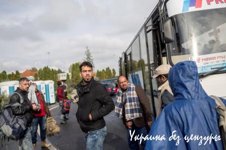 Словения подключила армию для сдерживания беженцев