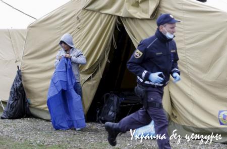 Словения подключила армию для сдерживания беженцев