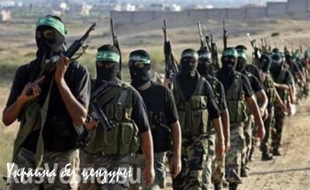 Насрулла: «Хезболла» в Сирии участвует в «последнем и решающем» сражении