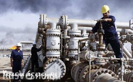 Коммерческие запасы нефти Саудовской Аравии достигли максимума с 2002г. Елизавета Антонова