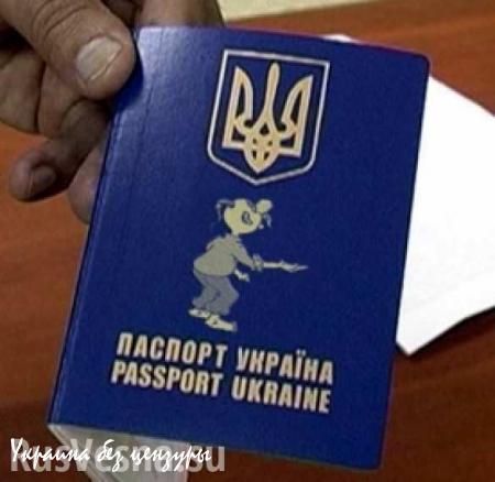 Украинцы перестали считать себя украинцами, — русофоб Гиржов