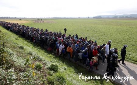 Отвод танков на Донбассе и наплыв беженцев в ЕС: фото дня