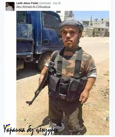 В рядах ИГИЛ воюет карлик-американец по кличке Чихуахуа (ФОТОФАКТ)