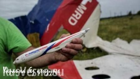 СБ Нидерландов в Киеве «придаст окончательную форму» расследованию крушения малайзийского Boeing