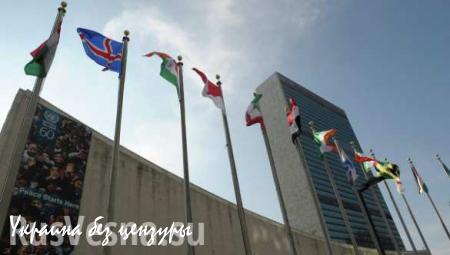 Депутат Госдумы предложил перенести штаб-квартиру ООН из США