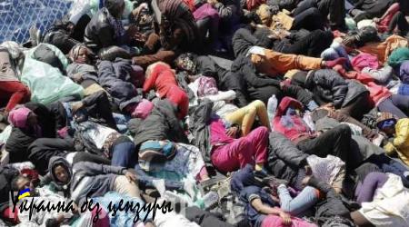 Глава МИД Венгрии назвал причину хлынувшего в Европу потока мигрантов