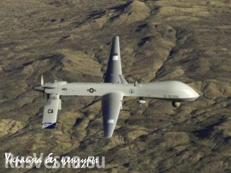 ВВС США потеряли два беспилотника Predator в Турции и Ираке
