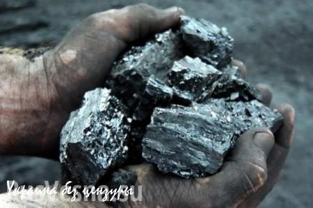 Власти ДНР выделили около 150 тысяч тонн угля для соцобъектов и льготников