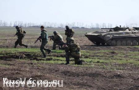 Ополчение ДНР начало плановые трехдневные учения батальонного уровня, — Минобороны